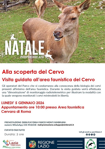 Alla scoperta del Cervo