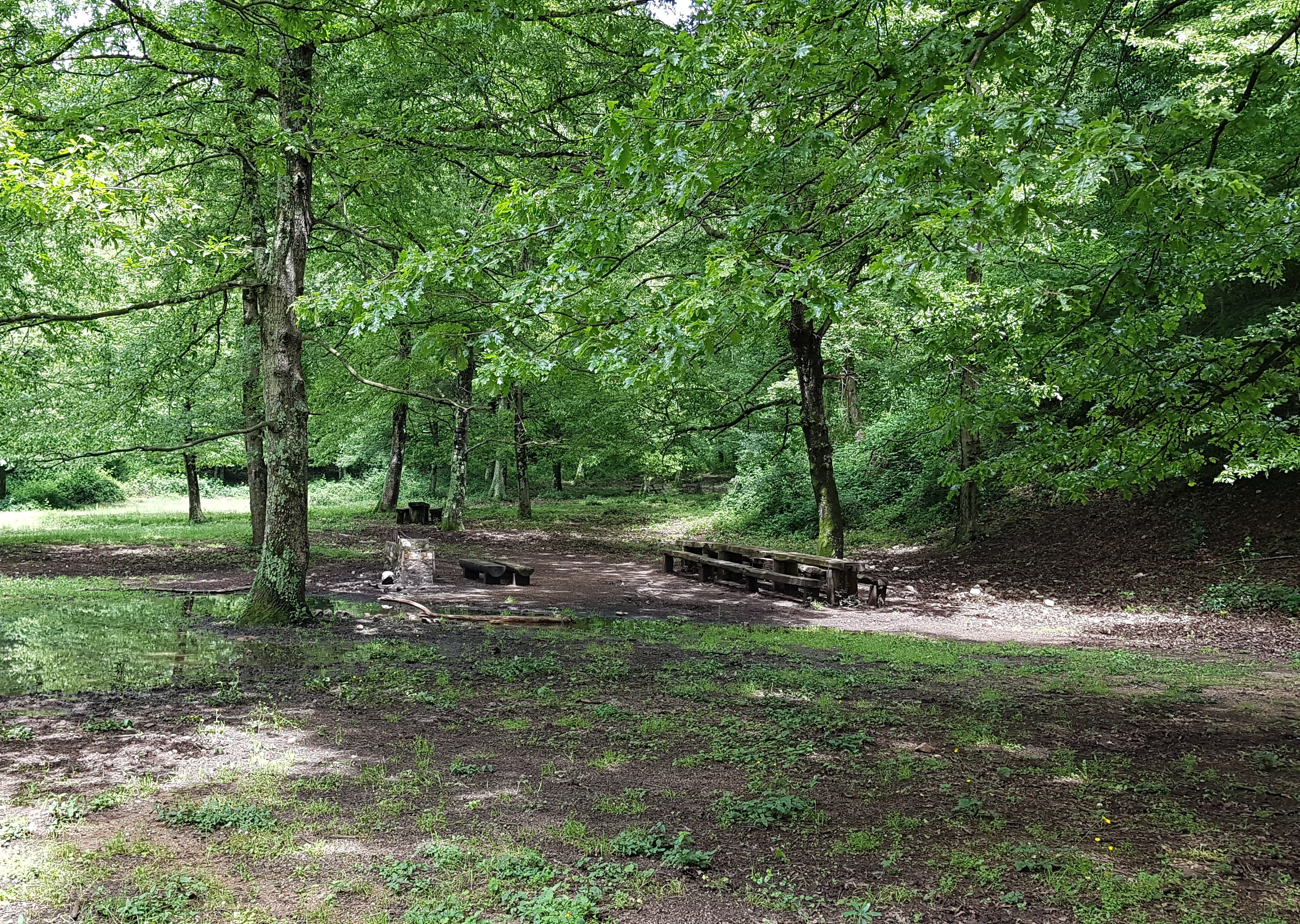 Area picnic "Vincenzo Franchi"