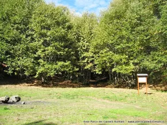 Boschi dell'Artemisio