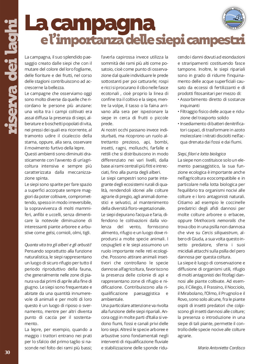 Articolo 2