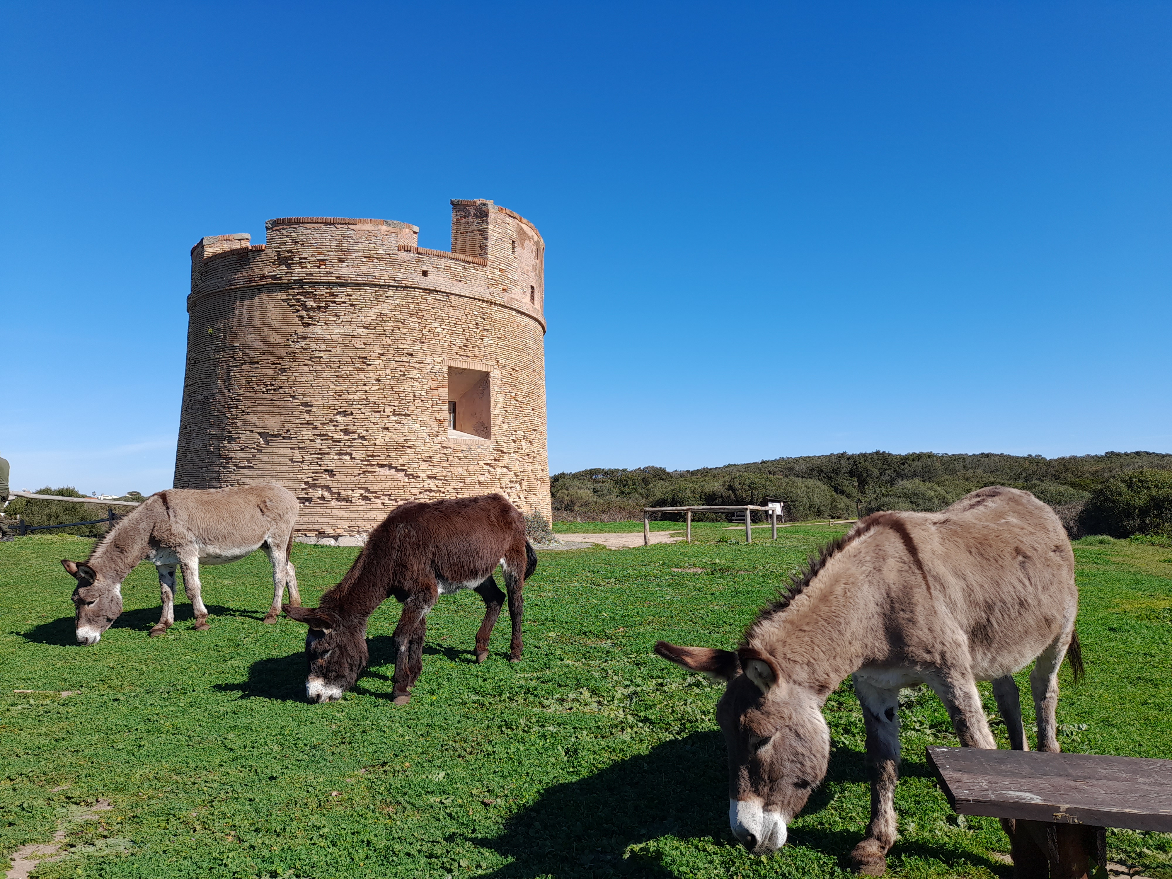 Apertura con orario ridotto dalle ore 8.00 alle ore 12.00 nel giorno 4 gennaio 2025