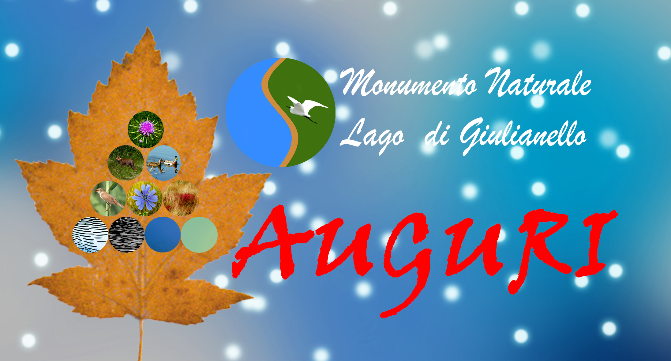 auguri
