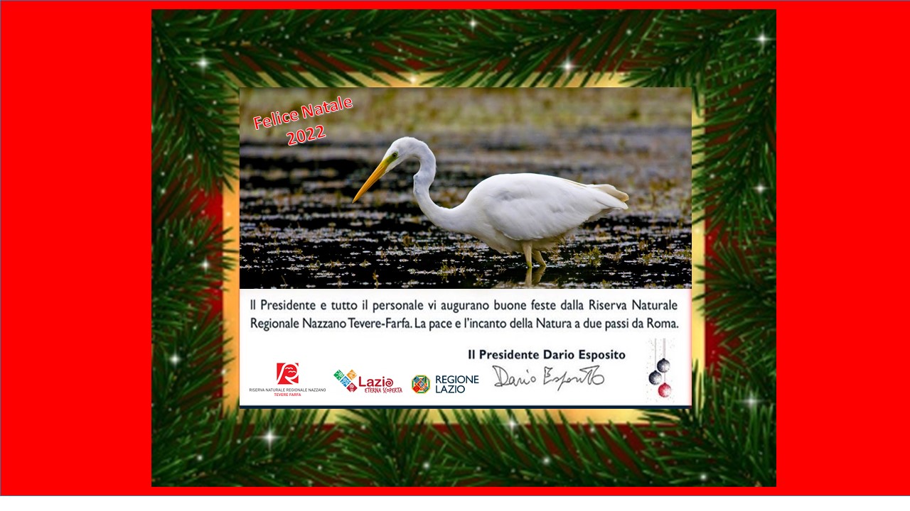 buone feste 2022/2023