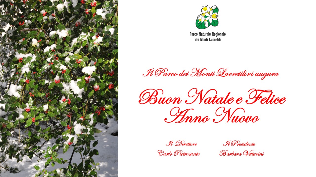 Auguri