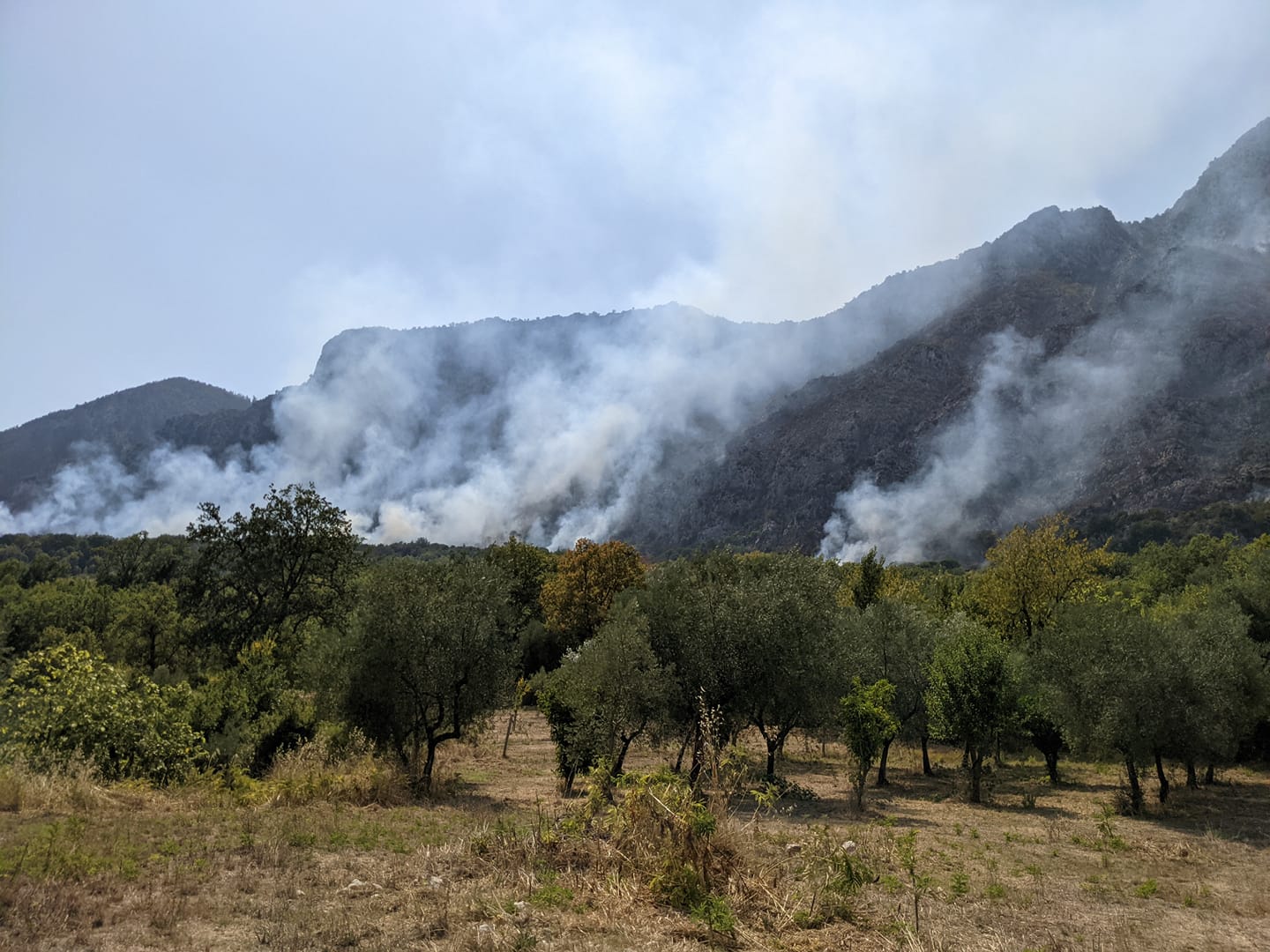 Incendio nel comune di Ausonia (FR)