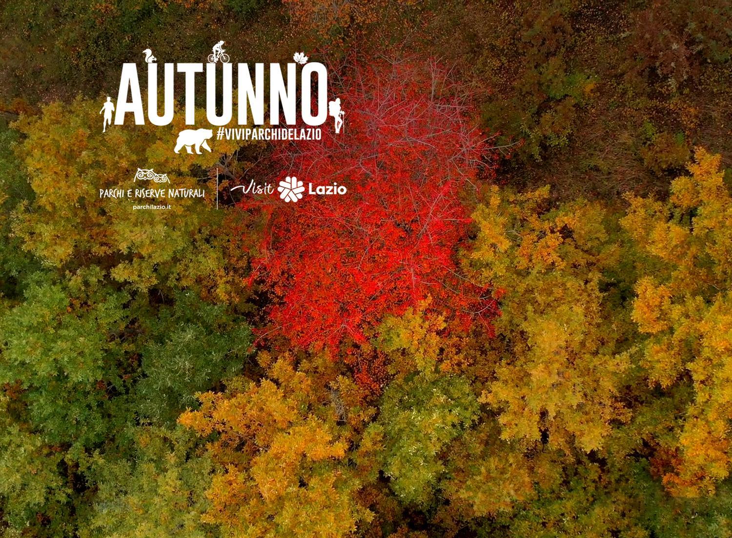 Verso l'autunno: i Parchi del Lazio cominciano a cambiare colore
