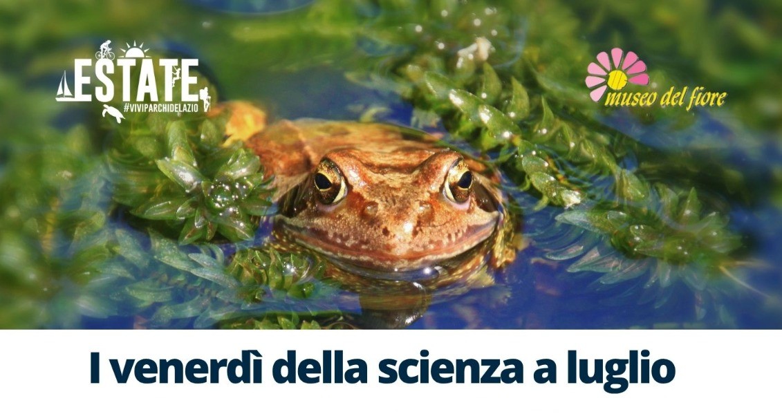 I venerdì della scienza a luglio