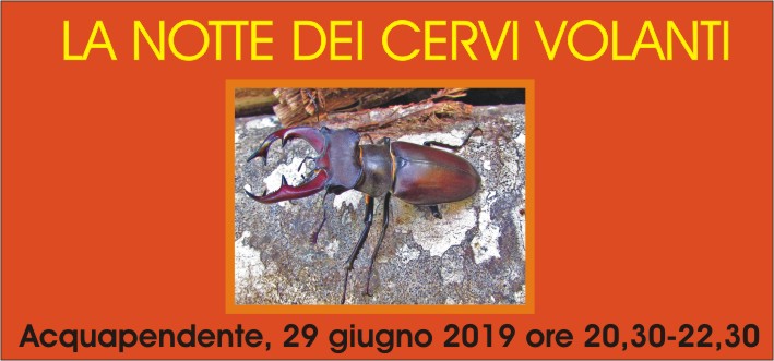 LA NOTTE DEI CERVI VOLANTI
