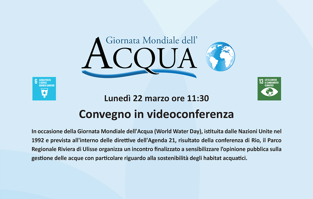 Giornata Mondiale dell'Acqua. Convegno in videoconferenza