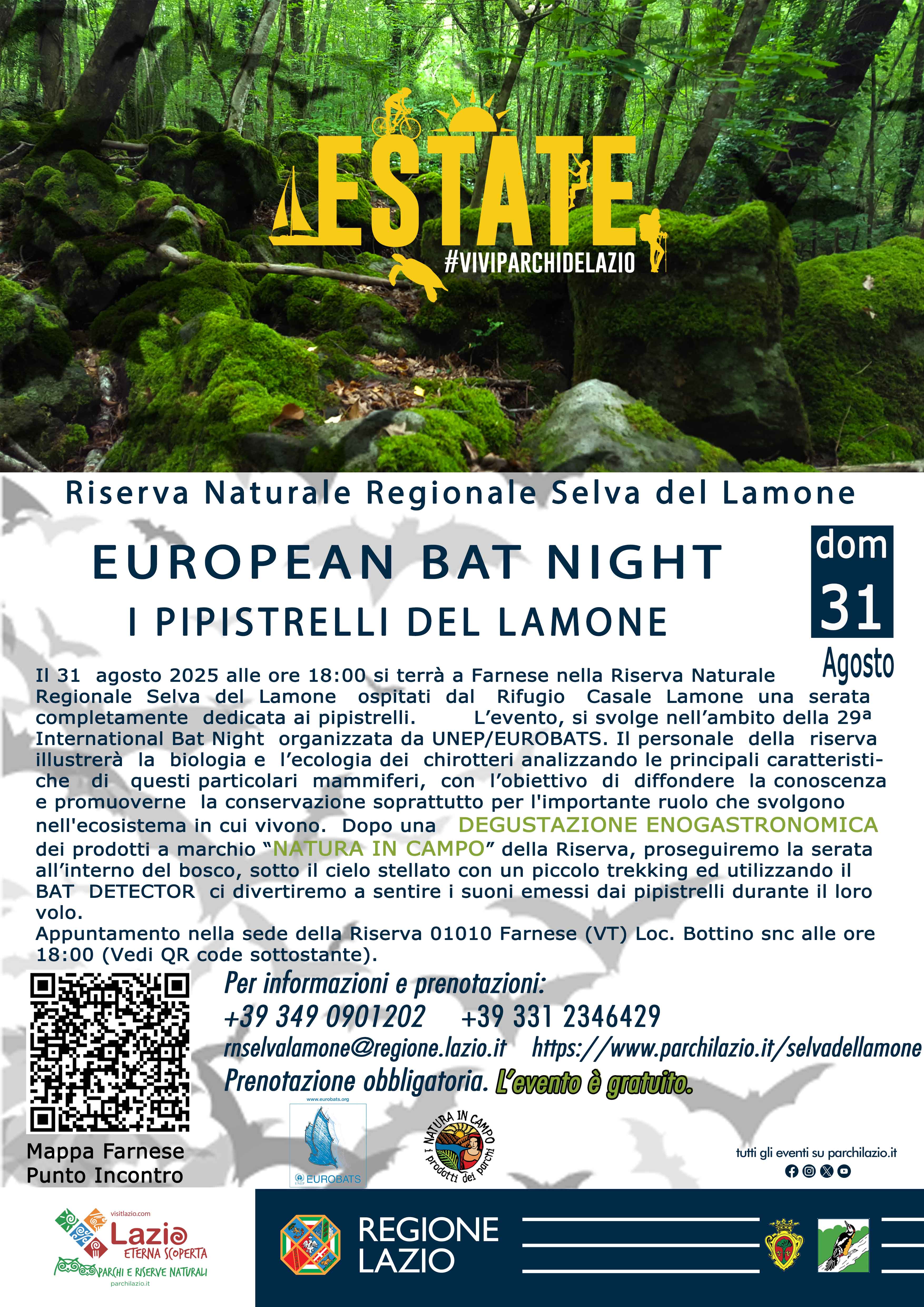 EUROPEAN BAT NIGHT