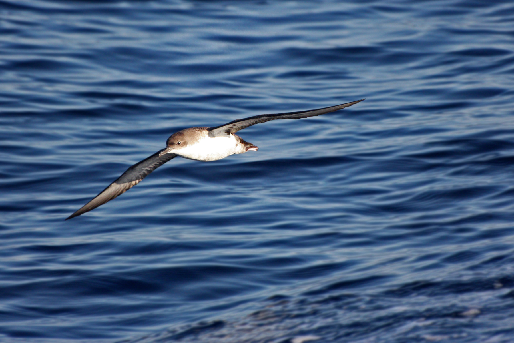 Foto di Camilla Gotti