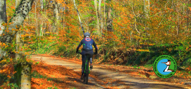 Un appassionato di MTB percorre la viabilità ordinaria a Monte Fogliano