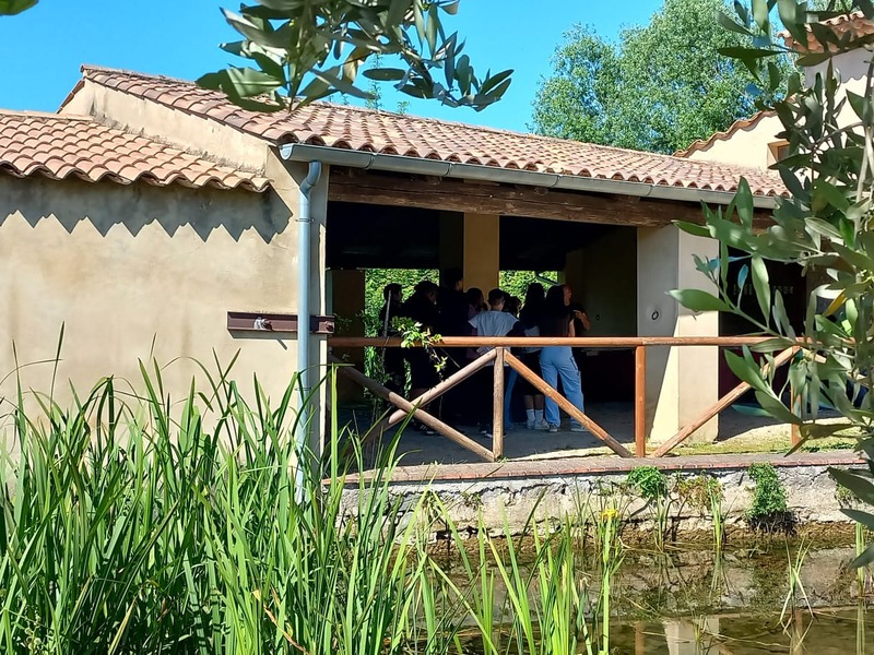 Bioblitz al Monumento Naturale di Settecannelle: studenti protagonisti della citizen science