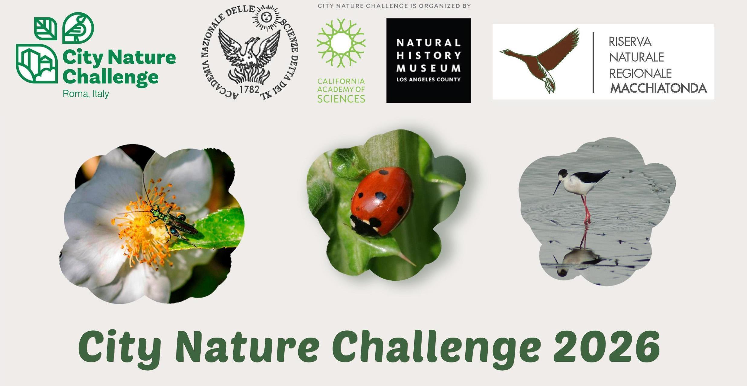 City Nature Challenge 2026<br /> Sabato 25 e domenica 26 aprile