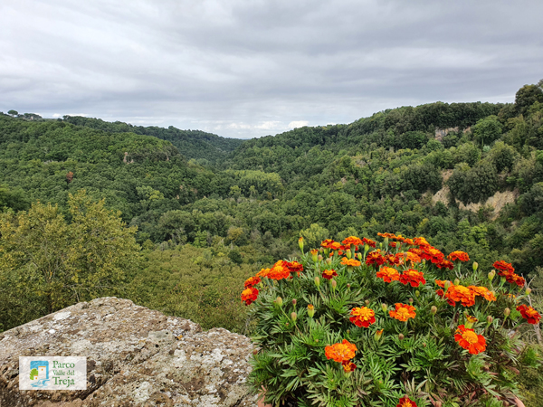 I boschi della Valle del Treja - foto Gianni Guaita