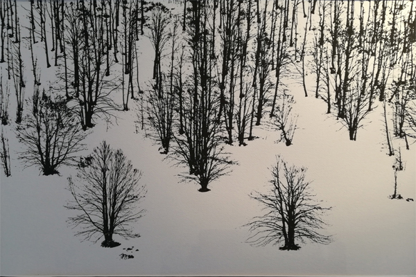 La stagione del silenzio - foto Paolo Schifano