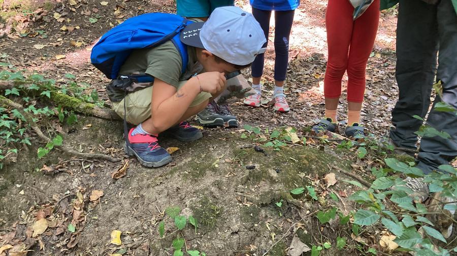 Foto Le Mille e una Notte