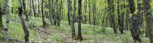 Clima: è tempo di agire!