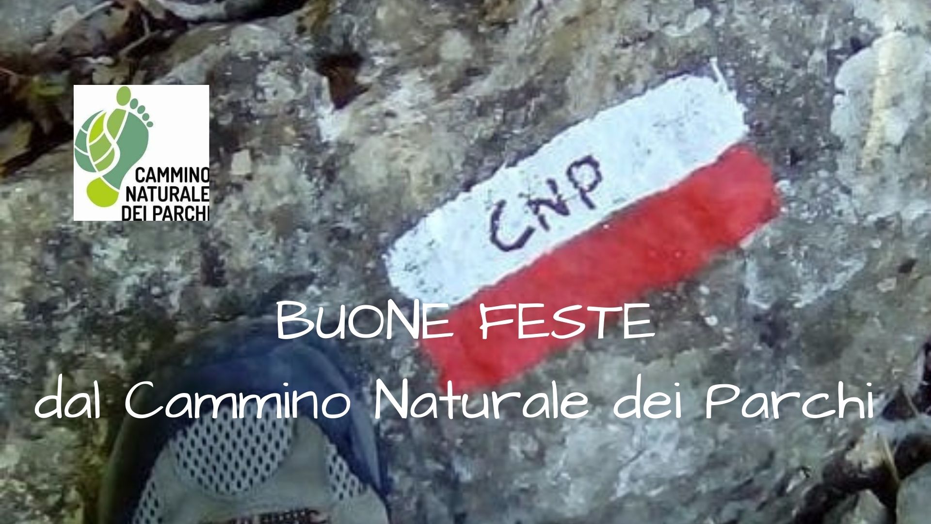 buone feste