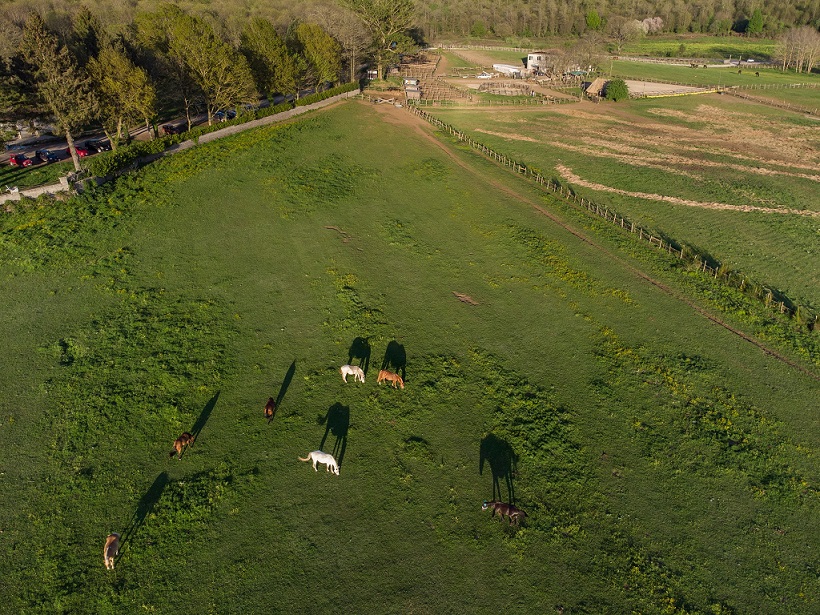 Foto dalla pagina fb di 'EquiAzione'