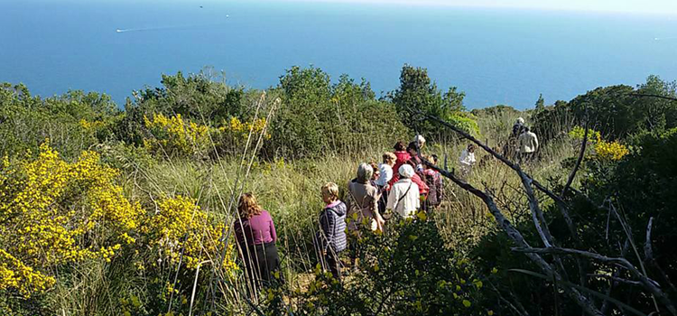 Banner dell'iniziativa