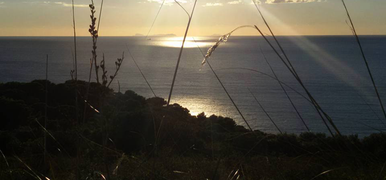 Banner dell'iniziativa