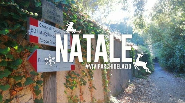 Camminiamo verso il Natale