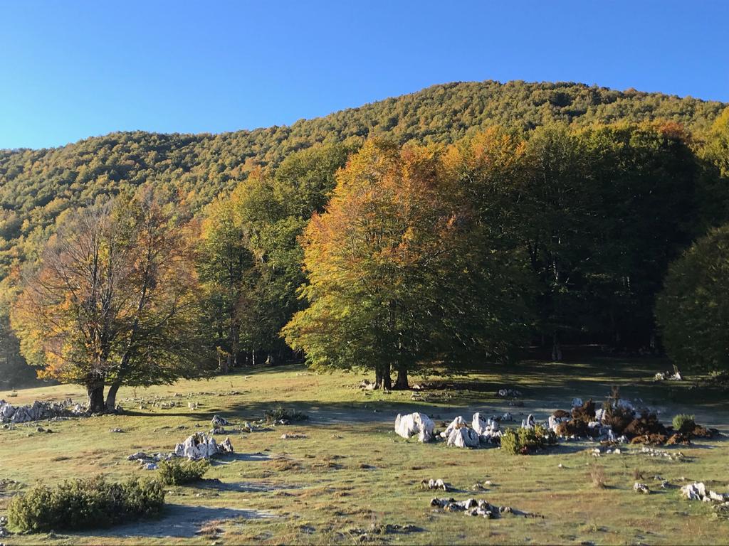 MTB 19. C/Livata – Campo dell'Osso – Campaegli – Livata