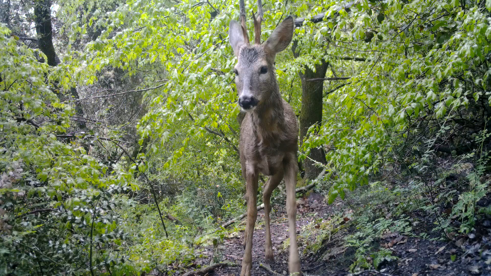 Foto di Christian Angelici