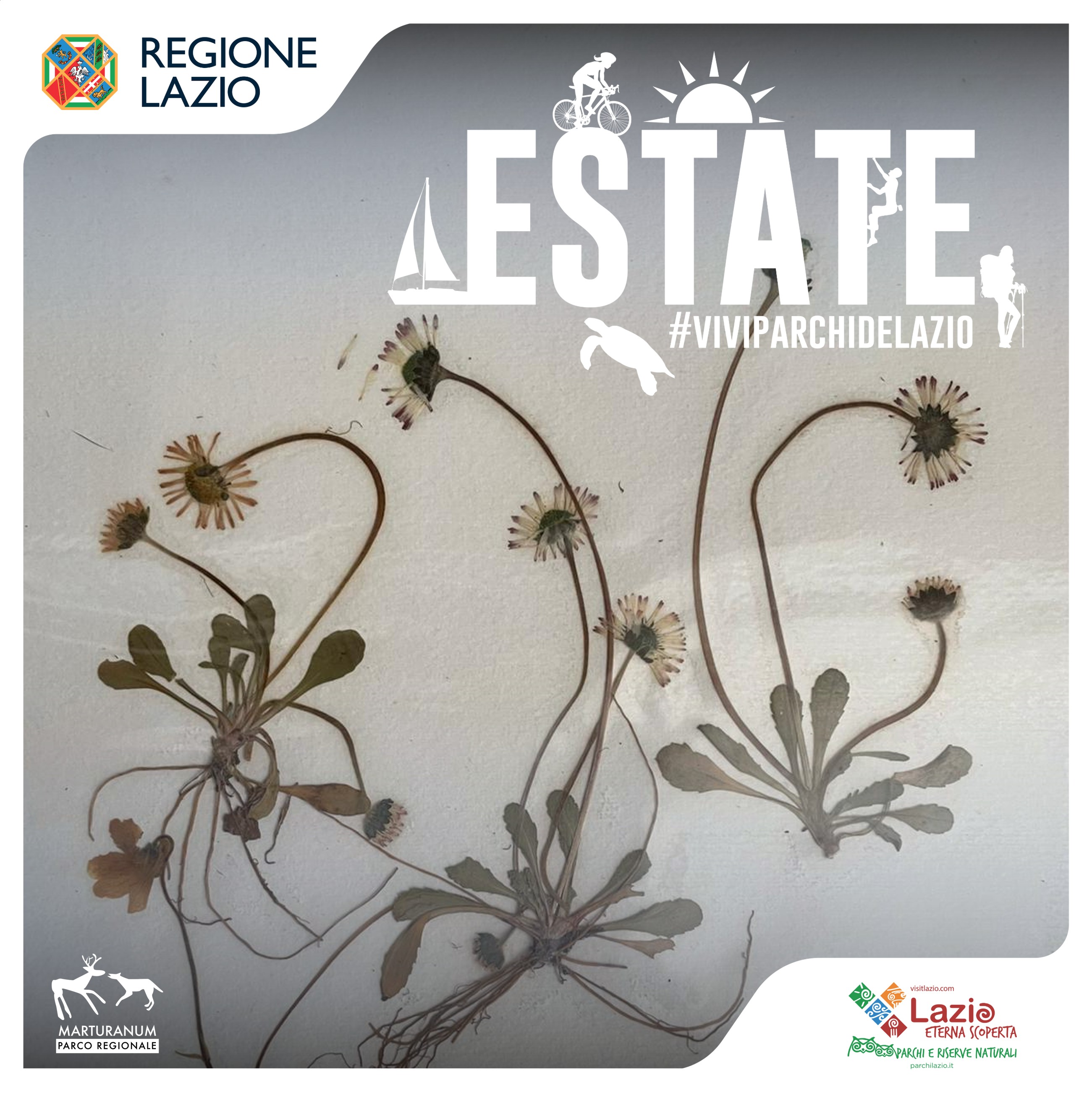 Storia di una raccoglitrice di semi.