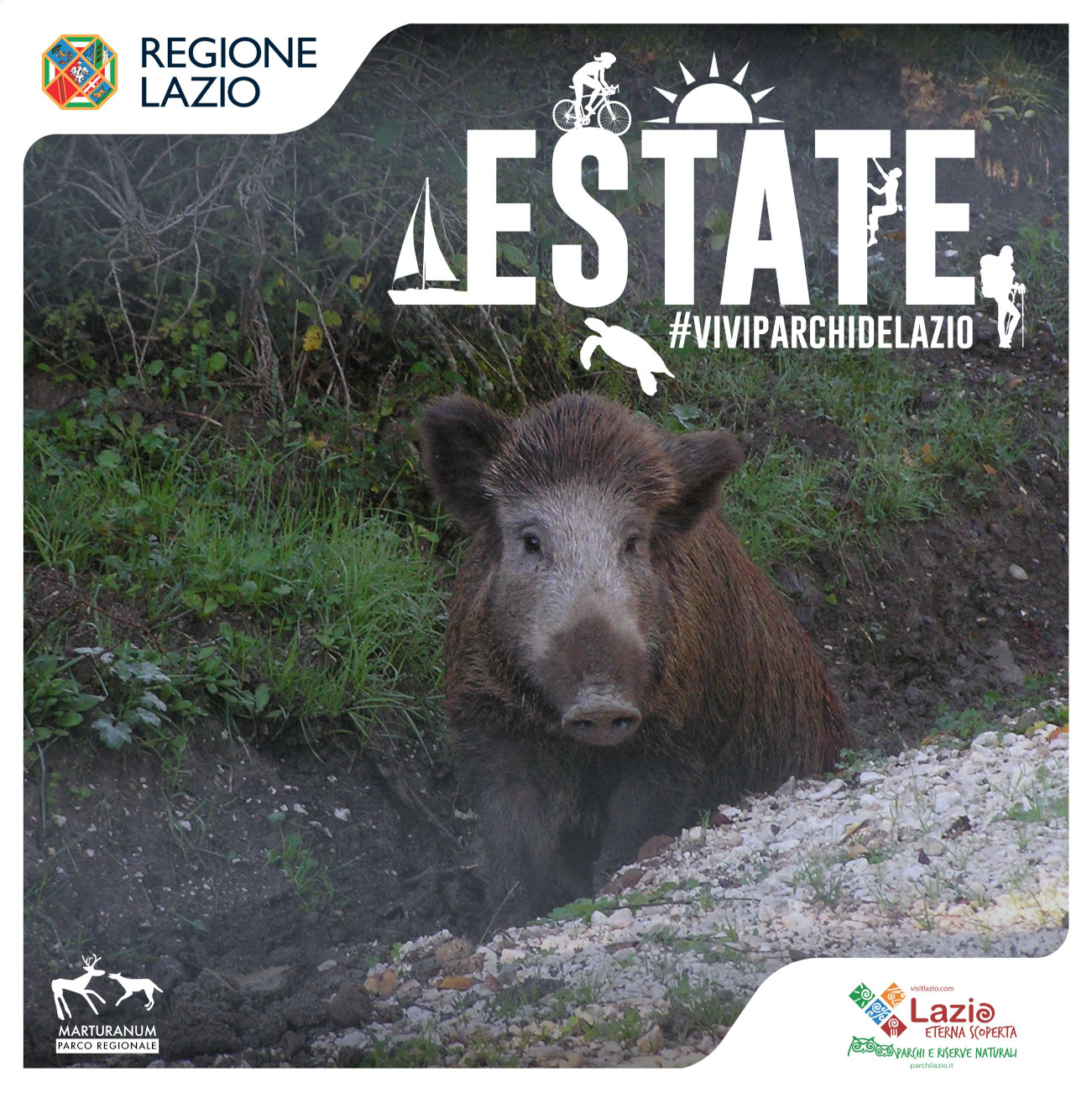 La fauna della Necropoli