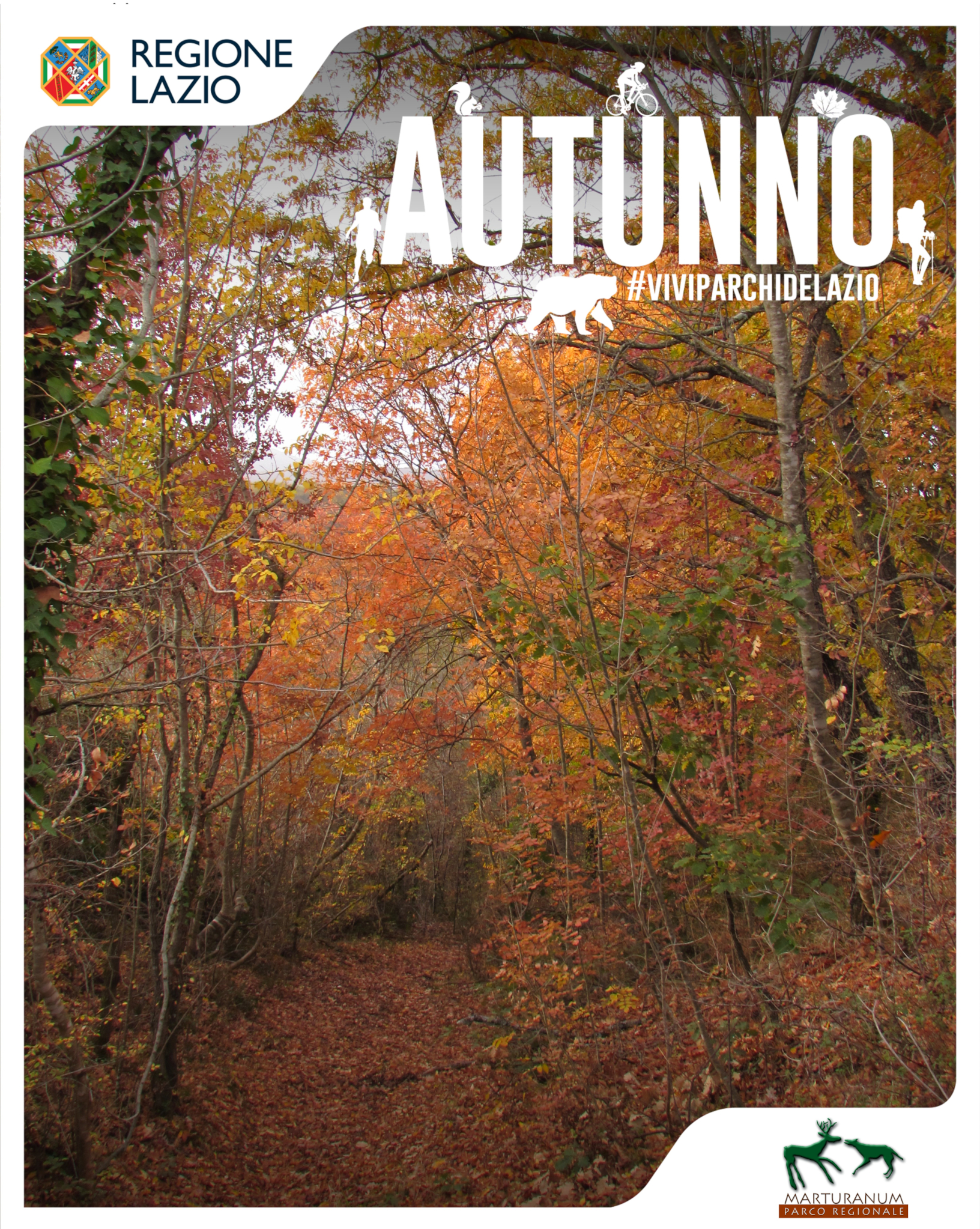 Autunno al museo: Settembre - Ottobre 2026
