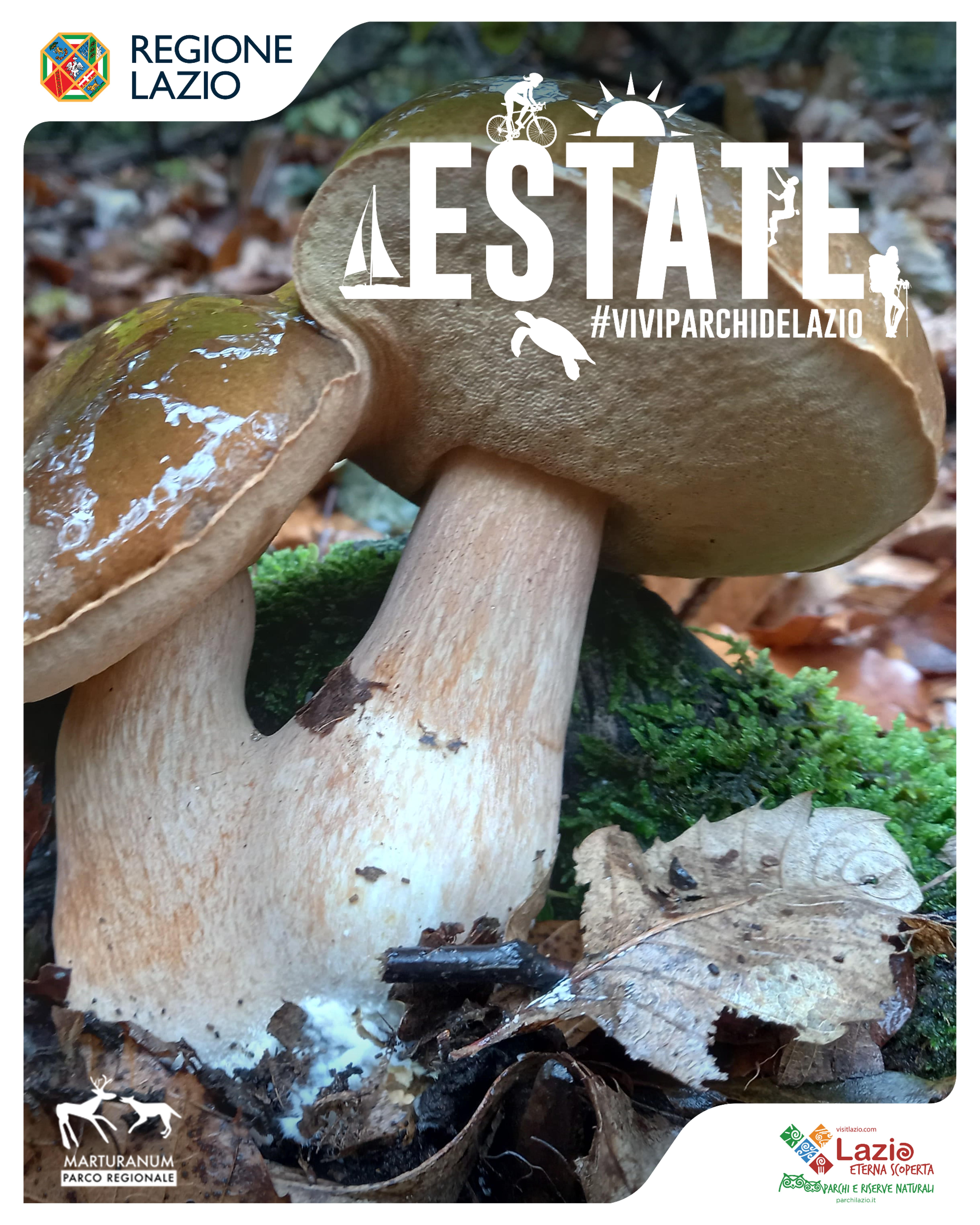 Corso di formazione micologica 2025