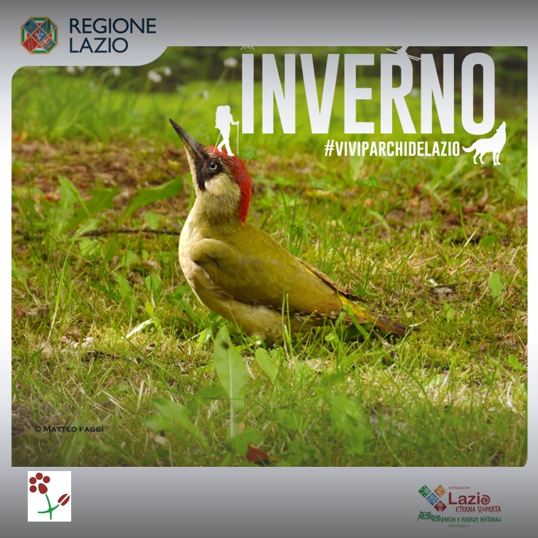 La biodiversità nella Riserva Naturale Monte Rufeno - Mostra fotografica