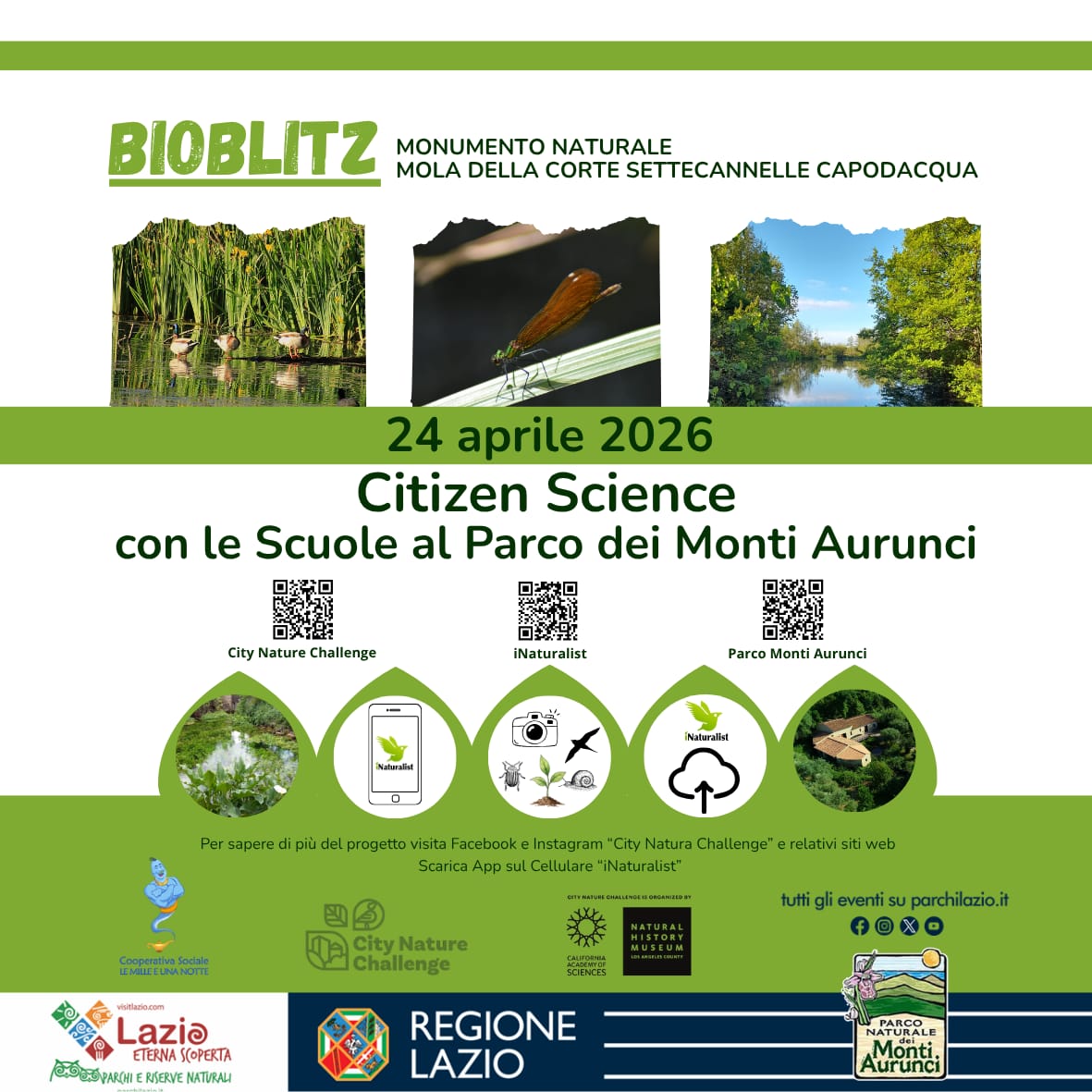 Il Parco dei Monti Aurunci protagonista del City Nature Challenge 2026