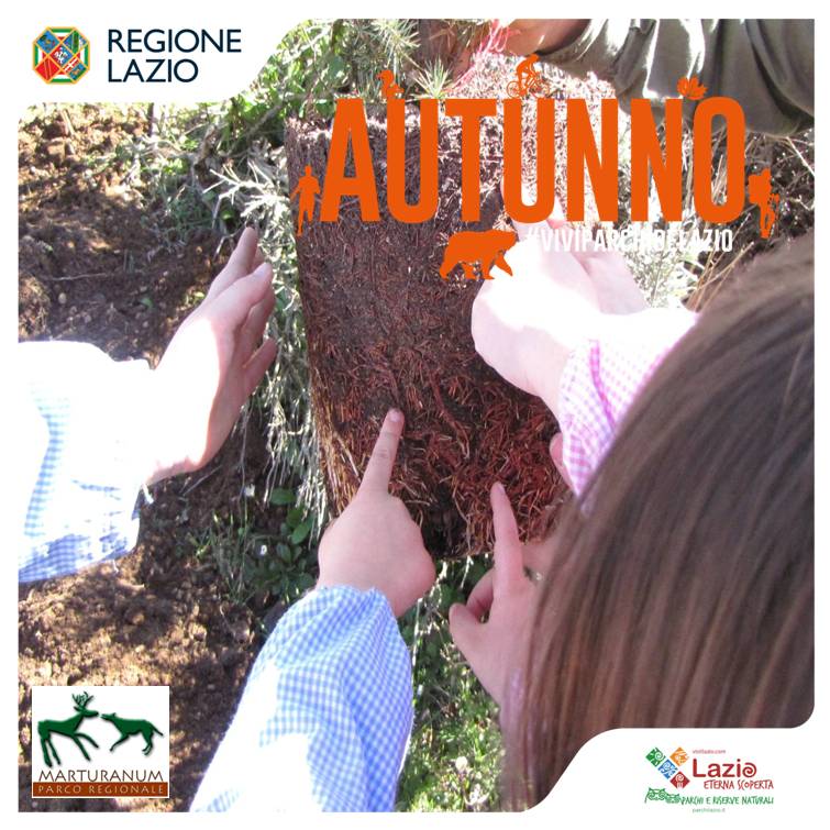 Bando di partecipazione all'offerta educativa ambientale e alla sostenibilità riservato al mondo della scuola. A.S. 2025 - 26