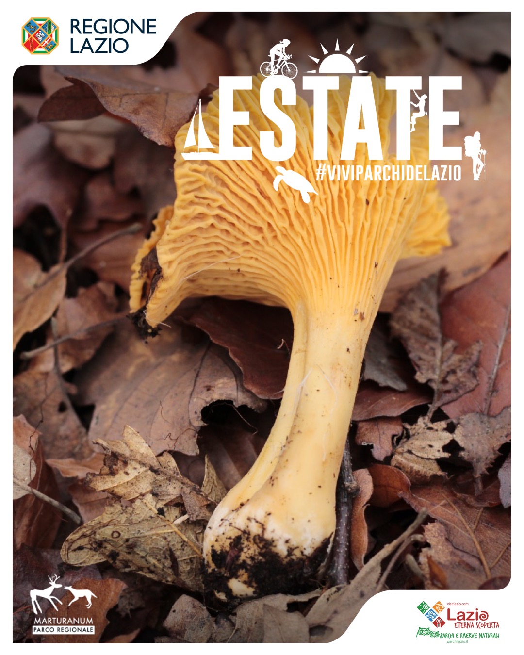 locandina riconoscimento funghi