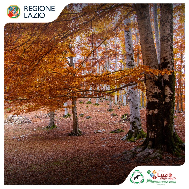 Escursioni e visite guidate sui monti Simbruini