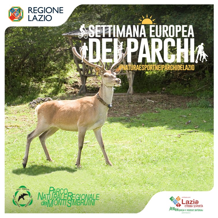 Alla scoperta del Cervo<br /> Visita guidata all'area faunistica del Cervo