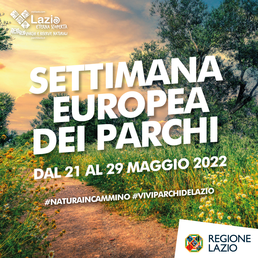 I monumenti del bosco di castagno!