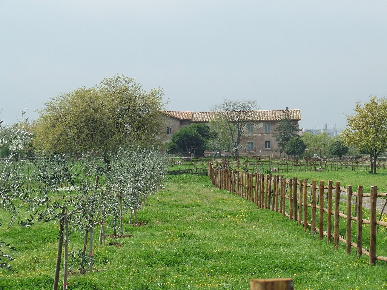 Le vigne del suburbio