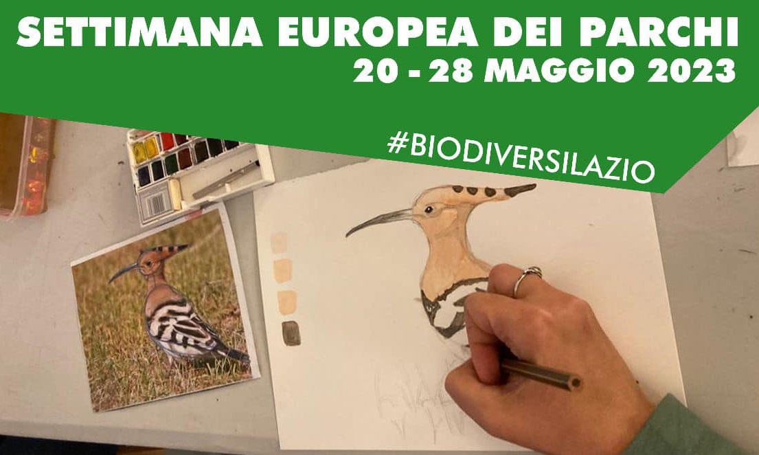 Settimana europea dei parchi al Castagneto Prenestino