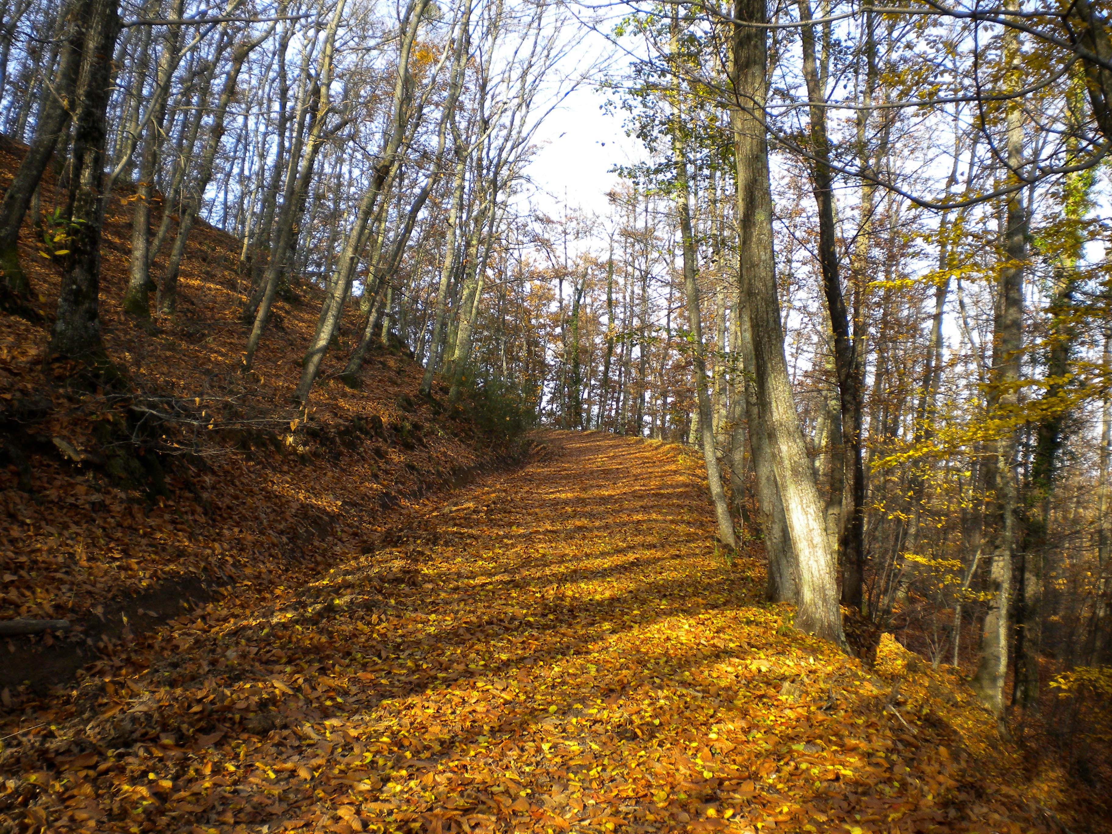 CAI 146A Monte Rufeno