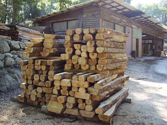 L'economia legata al castagno