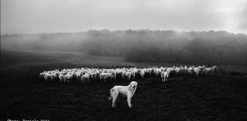 Progress Ph Daniele Vita