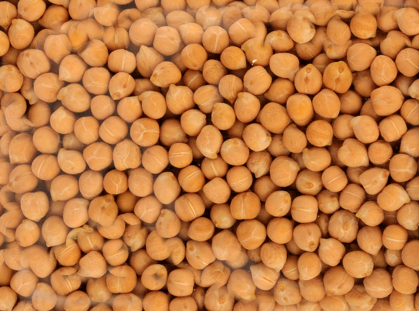 Cece del solco dritto di Valentano