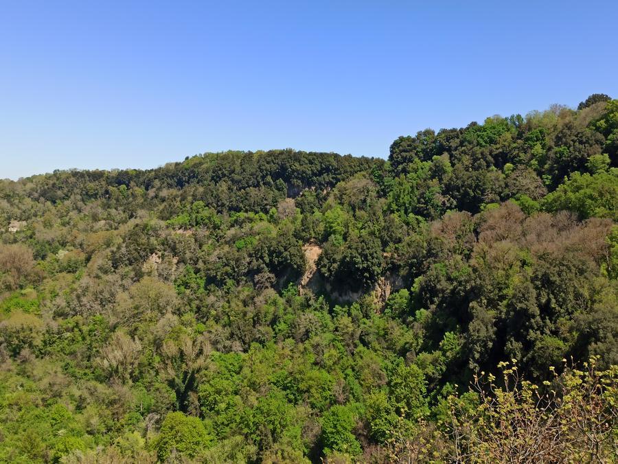 Uno scorcio della Narcense