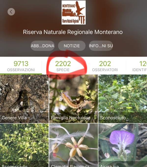 +390 SPECIE IN UN ANNO! 🌿