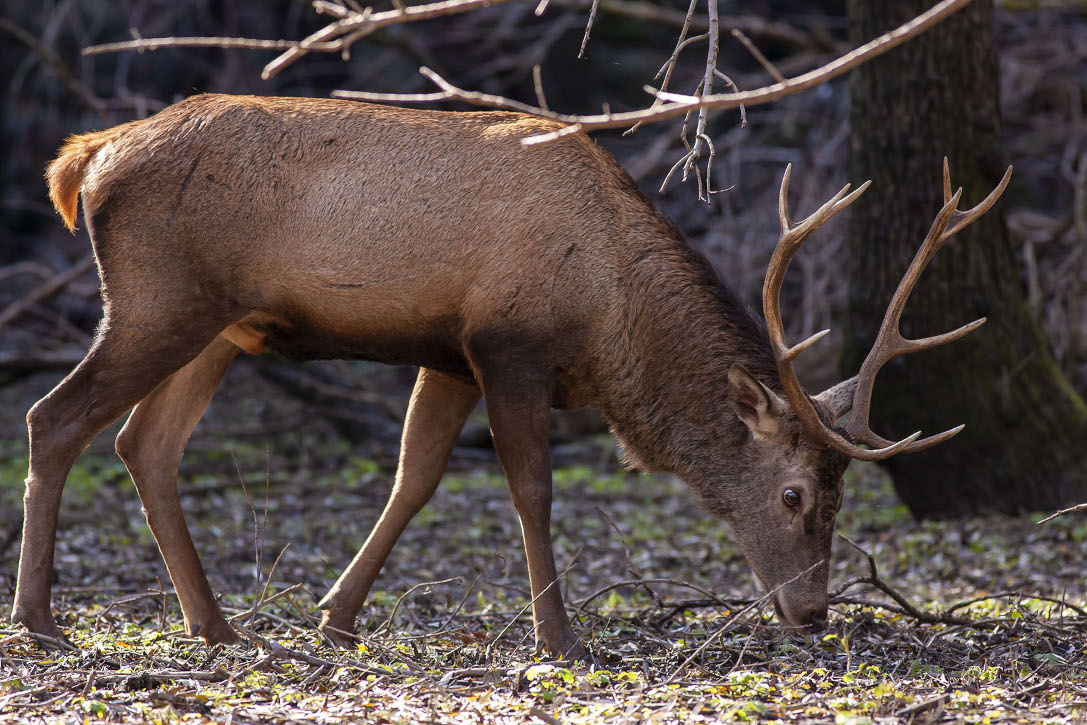 Foto Cristina Annibali