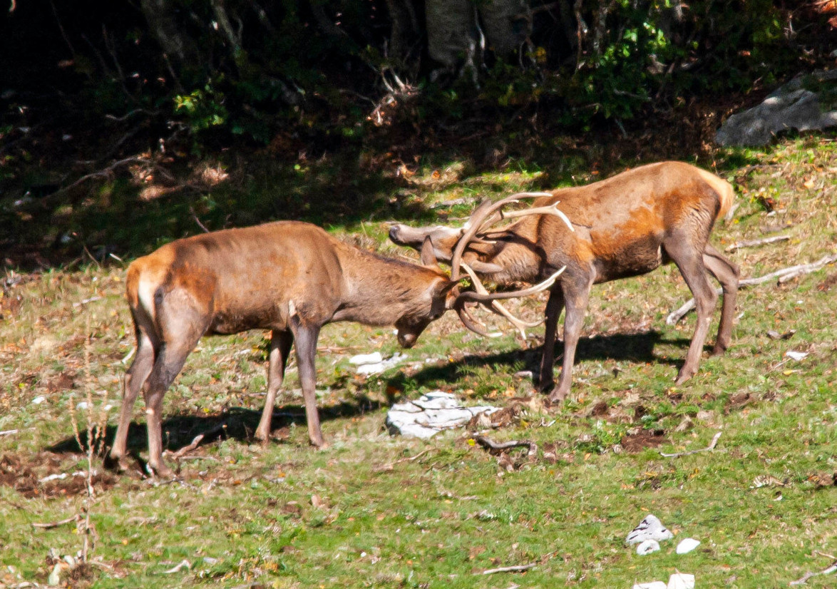 Foto di Cristina Annibali
